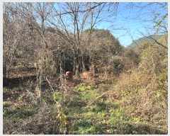  2024Ÿ103949  ȵ ȸ  468      ()