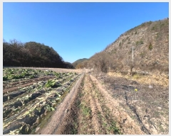  2024Ÿ103949  ȵ ȸ  468      ()