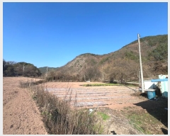  2024Ÿ103949  ȵ ȸ  468      ()