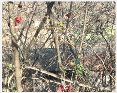  2024Ÿ103949  ȵ ȸ  468      ()