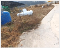  2024Ÿ��103970  ����