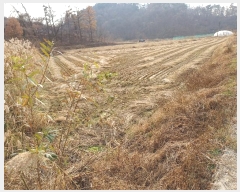  2024Ÿ��103970  ����