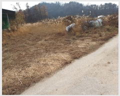  2024Ÿ��103970  ����