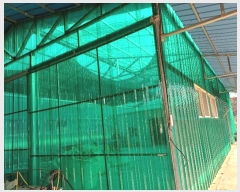  2024Ÿ��103970  ����