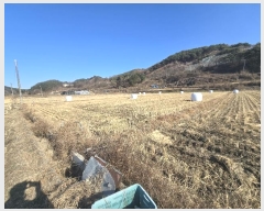  2024Ÿ��104072  �����