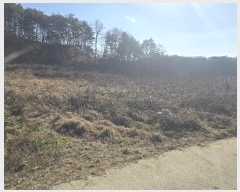  2024Ÿ��104072  �����