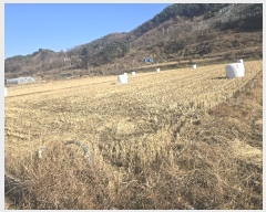  2024Ÿ��104072  �����