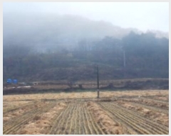  2024Ÿ��104072  �����