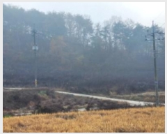  2024Ÿ��104072  �����