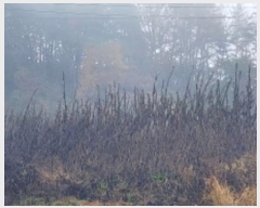  2024Ÿ��104072  �����