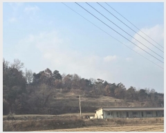  2024Ÿ��104119 ��� �ȵ��� ���ĸ� ���� 63      ����(��1)���