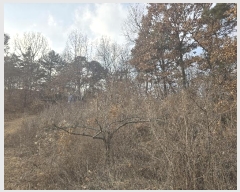  2024Ÿ��104119 ��� �ȵ��� ���ĸ� ���� 63      ����(��1)���