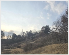  2024Ÿ��104119 ��� �ȵ��� ���ĸ� ���� 63      ����(��1)���