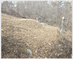  2024Ÿ��104119 ��� �ȵ��� ���ĸ� ���� 63      ����(��1)���