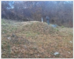  2024Ÿ��104119 ��� �ȵ��� ���ĸ� ���� 63      ����(��1)���