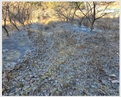  2024Ÿ��104171 ��� ��ȭ�� ��ȣ�� ǳȣ�� 893      ����(��1)���