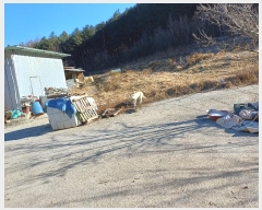  2024Ÿ��104171 ��� ��ȭ�� ��ȣ�� ǳȣ�� 893      ����(��1)���