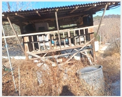  2024Ÿ��104171 ��� ��ȭ�� ��ȣ�� ǳȣ�� 893      ����(��1)���