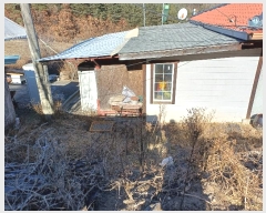  2024Ÿ��104171 ��� ��ȭ�� ��ȣ�� ǳȣ�� 893      ����(��1)���