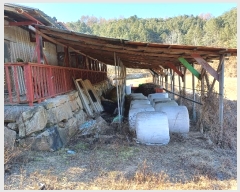  2024Ÿ��104171 ��� ��ȭ�� ��ȣ�� ǳȣ�� 893      ����(��1)���