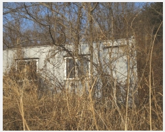  2024Ÿ��3226  �����