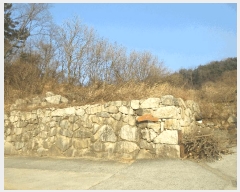  2024Ÿ��3226  �����