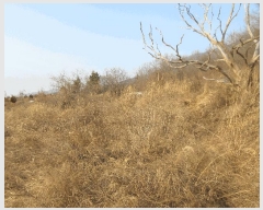  2024Ÿ��3226  �����