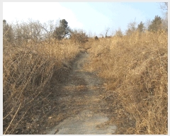  2024Ÿ��3226  �����