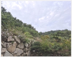  2024Ÿ��3226  �����