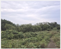  2024Ÿ��3226  �����