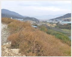  2024Ÿ3424  ֽ ܵ  99-23      ()