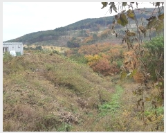  2024Ÿ3424  ֽ ܵ  99-23      ()