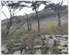  2024Ÿ3424  ֽ ܵ  99-23      ()