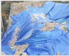  2024Ÿ3424  ֽ ܵ  99-23      ()