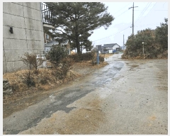  2024Ÿ3509  ֽ 糲 Ŵ븮 533-4      (ķ)