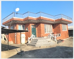  2024Ÿ3660  ֽ Ȱ 긮 1955-74      ð