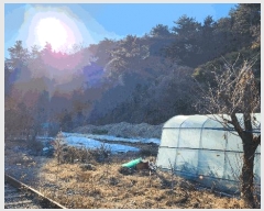  2024Ÿ��3745 ��� ���ֽ� ����� ����� 430      ������