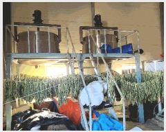  2024Ÿ��3745 ��� ���ֽ� ����� ����� 430      ������