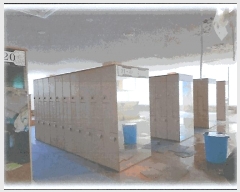  2024Ÿ��11722 ��� ���ֽ� ���� 452-1       ���ڽü�,����,ȣ��,�������