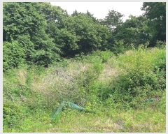  2024Ÿ��11920 ��� ���ֽ� �곻�� ������ 2492      ����(��1)���