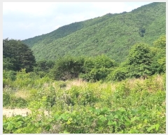  2024Ÿ��11920 ��� ���ֽ� �곻�� ������ 2492      ����(��1)���