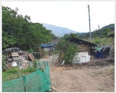  2024Ÿ��11920 ��� ���ֽ� �곻�� ������ 2492      ����(��1)���