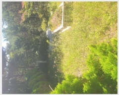  2024Ÿ12787  ֽ ϱ 326-5       (1)