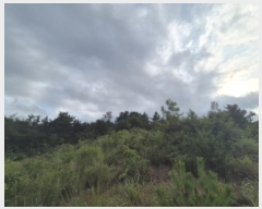  2024Ÿ12787  ֽ ϱ 326-5       (1)