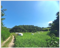  2024Ÿ13025  ֽ  39-1       (Ӿ)