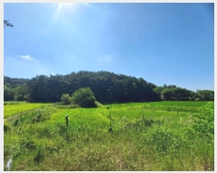  2024Ÿ13025  ֽ  39-1       (Ӿ)