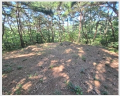  2024Ÿ13025  ֽ  39-1       (Ӿ)