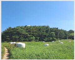  2024Ÿ13025  ֽ  39-1       (Ӿ)