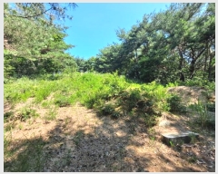  2024Ÿ13025  ֽ  39-1       (Ӿ)