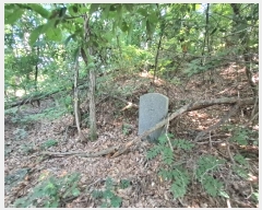  2024Ÿ13025  ֽ  39-1       (Ӿ)